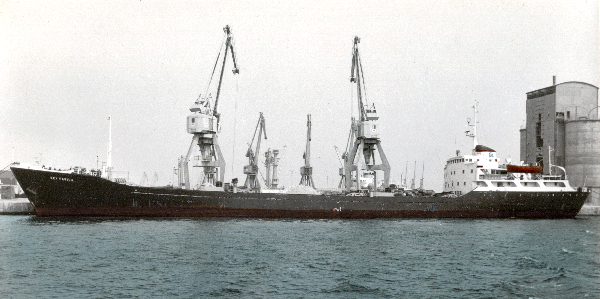 Rey Favila - Collection L. Santa Olaya Rey Favila - Collection L. Santa Olaya